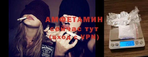 прущие грибы Снежногорск