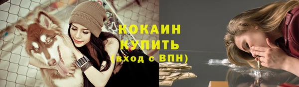 гашик Волоколамск
