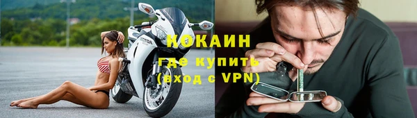 прущие крисы Верея