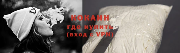 прущие грибы Снежногорск