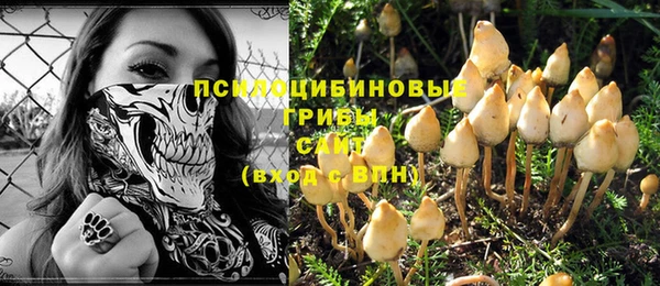 меф Снежинск