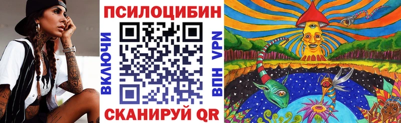 Псилоцибиновые грибы Psilocybine cubensis  Петровск-Забайкальский 